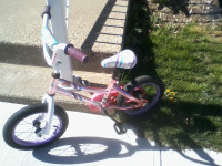 Skye Toddler bike 12 inch wheels