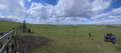 40 acres 15 minutes South of Calgary with fences and pens for horses. Several great locations for pa...