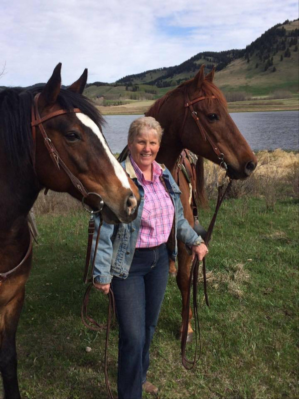 Horsemanship and riding lessons western sytle in Equestrian & Livestock Accessories in Banff / Canmore