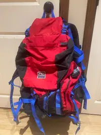 Adult back pack 