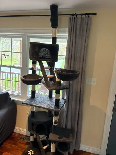 Like new. Cats never use it anymore. Great for kittens