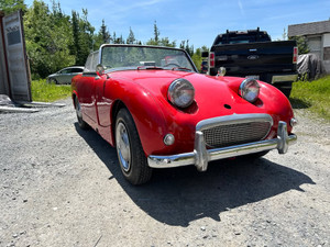 1962 Austin Healey Sprite