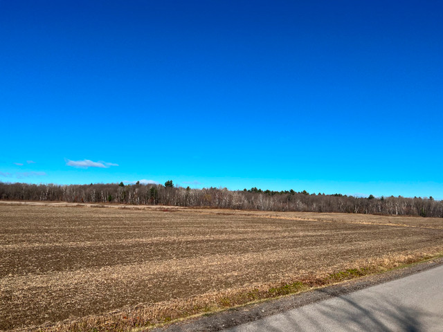 Terre agricole biologique à vendre dans Terrains à vendre  à Lanaudière - Image 4