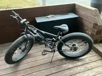 Schwinn Fat bike 