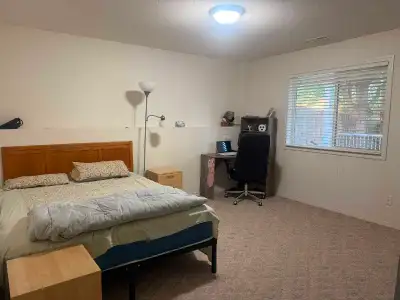 Walk out basement for rent in South Lethbridge. Walking distance to bus stop, schools and all major...