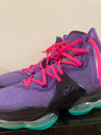 Nike Lebron 19 purple shoes