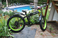Premium Custom Electric Mountain Bike