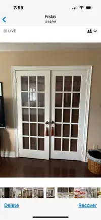 two panel door free pickup 30 by 80 each panel