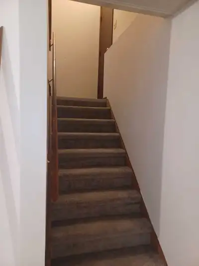 basement suite for rent