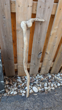 Walking stick