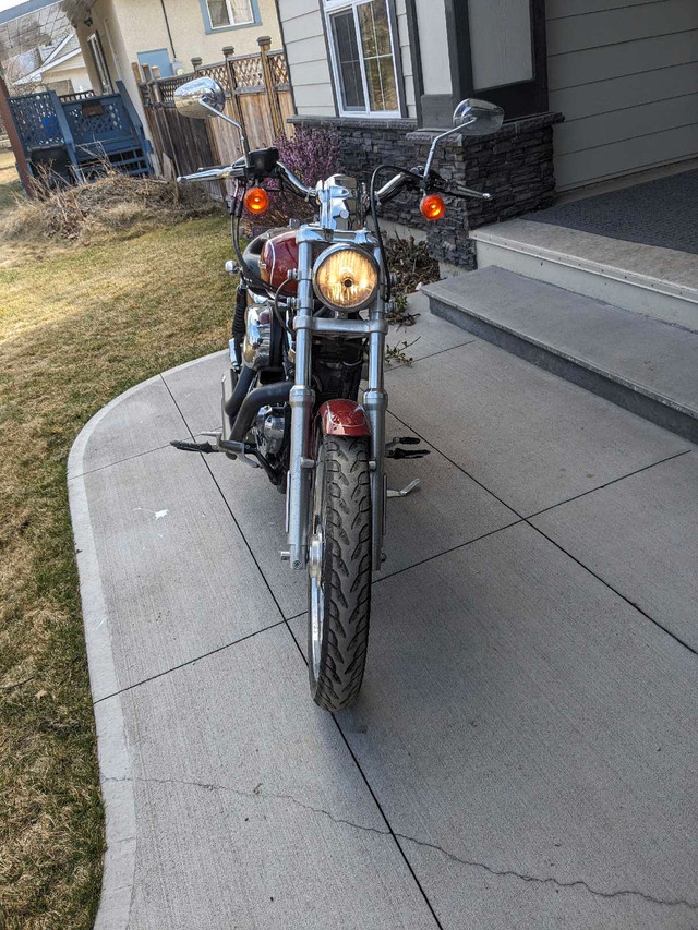 2006 Harley-Davidson 1200 Sportster in Street, Cruisers & Choppers in Quesnel - Image 2
