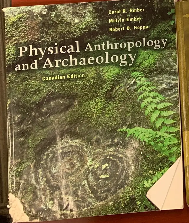 Text and reading university text Books628632678183711214