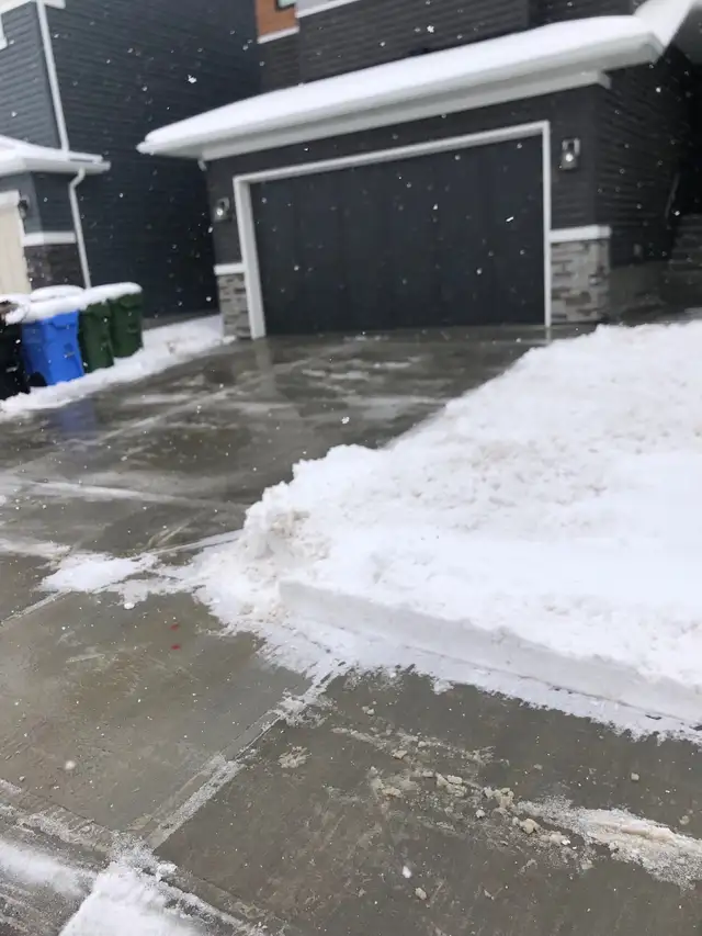 PROFESSIONAL FALL CLEANUP & SNOW REMOVAL 600046539920517125