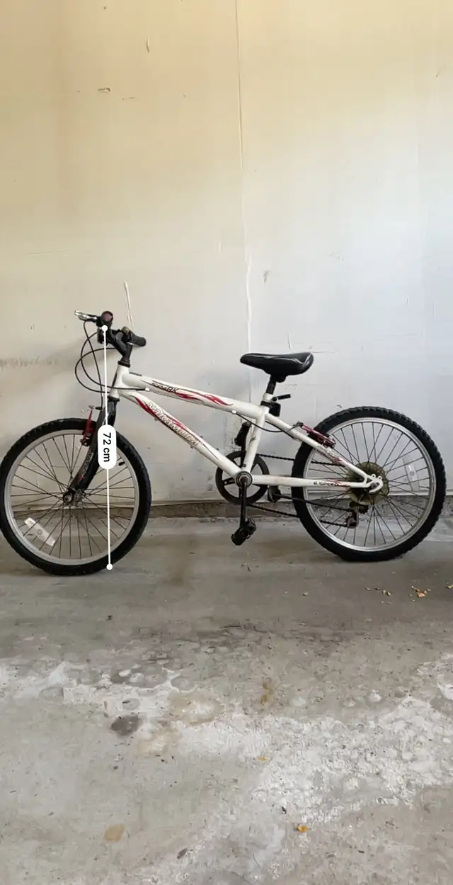 children’s bicycle(youth)