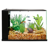 Top Fin® Easy Clean Aquarium (3 Gallon), including filter
