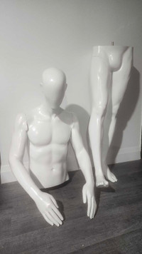 Male Mannequin Display Full Form