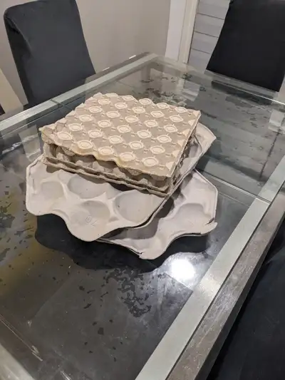 Ripped Egg/Fruit Trays- Large garbage Bag Full, View more