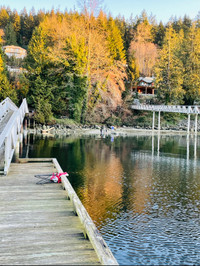 Waterfront View, Private Dock, Nature's Wonders