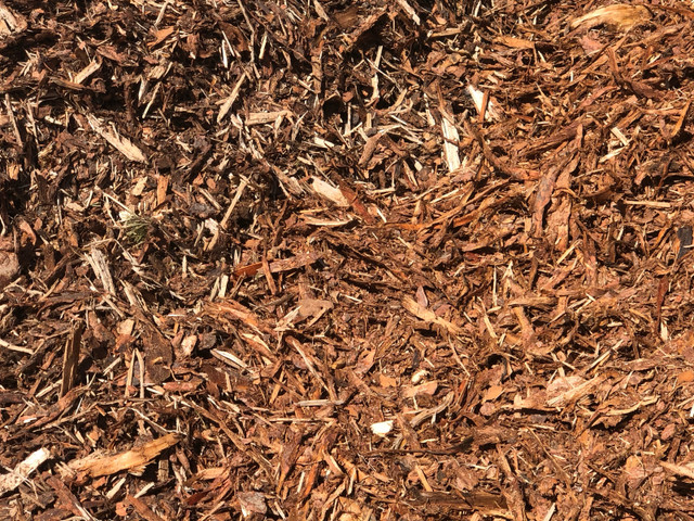 Premium Spruce Bark Mulch - Landscaping in Plants, Fertilizer & Soil in Edmonton - Image 3