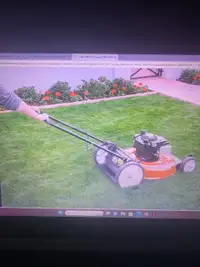 DO YOU NEED YOUR LAWN CUT?