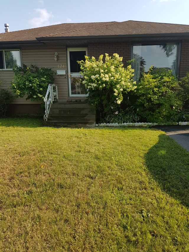 Room for rent Room Rentals & Roommates Thunder Bay Kijiji