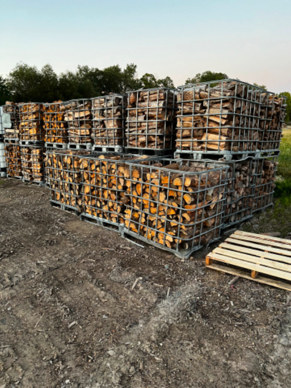 PINE FIREWOOD CUT & SPLIT , CLEANED , SEASONED in BBQs & Outdoor Cooking in Winnipeg - Image 3