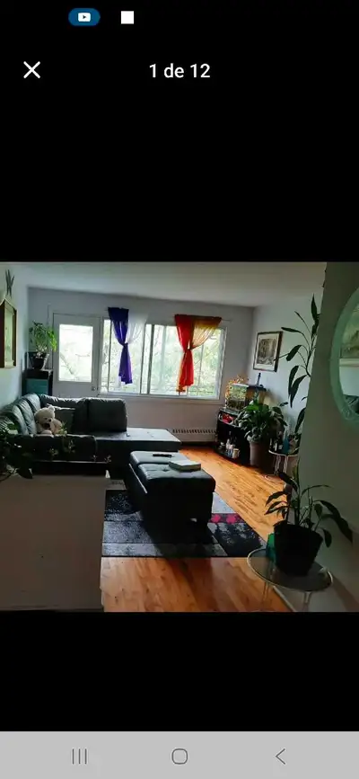 chambre à louer