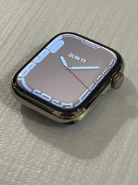 Apple Watch Series 7 45mm Stainless Steel Gold