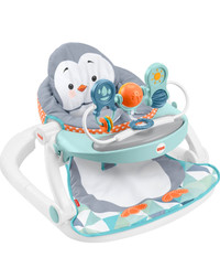 Baby Fisher Price Sit Me Up Seat