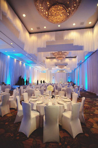Best Deal Calgary Universal or Spandex Chair Covers - Only $1