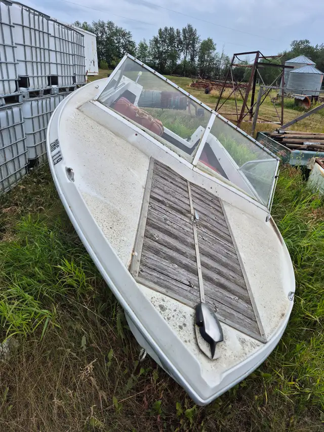 17 foot Fishing Boat Project (flower bed) in Powerboats & Motorboats in Edmonton - Image 2