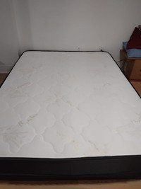 Two Queen Size 8 Inch Mattresses