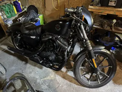 This is a Harley-Davidson Iron 883, a stylish cruiser with a blacked-out look, powered by an 883cc a...