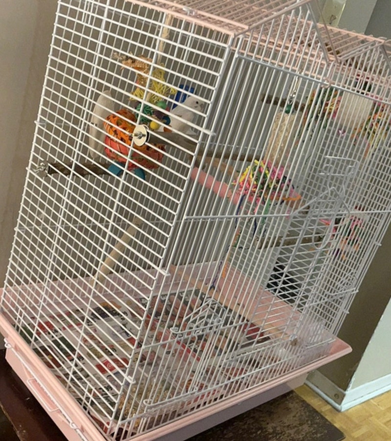 Big bird cage 10/10 condotion for budgies/cockatiels/lovebirds