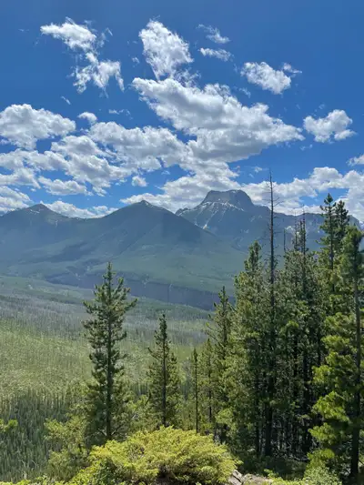 looking for HVAC job , View more