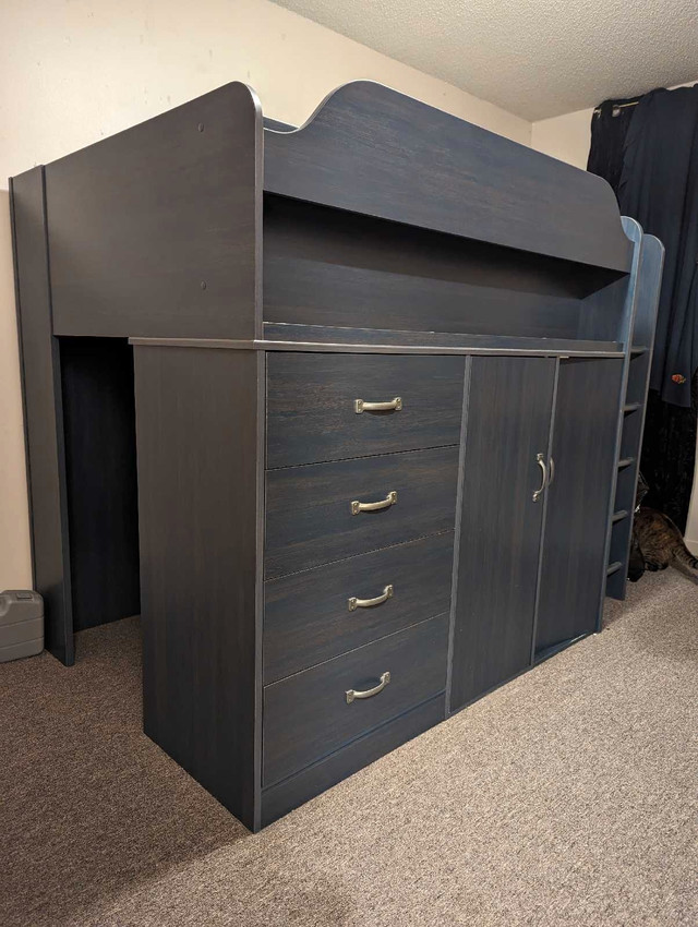 PRICE DROP Wood Loft Bed w/ Storage + Desk (Navy, kids) in Beds & Mattresses in Hamilton