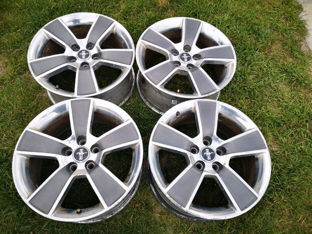 18" Mustang Wheels in Tires & Rims in Lethbridge