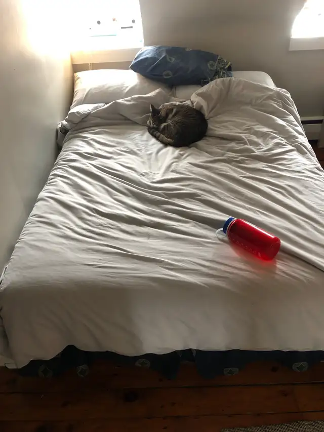 Room in 5 bed 2 bath63760492763393121