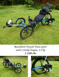 Recumbent Tricycle with 2-Stroke-Engine
