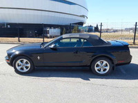 Ford Mustang 2008 *toit neuf* bas km*