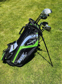 Women's Powerbilt RIGHT Golf Clubs w/ Stand Bag 