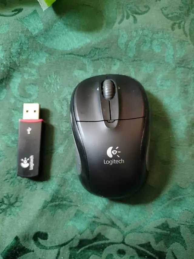 Wireless Mouse in Mice, Keyboards & Webcams in Ottawa - Image 2