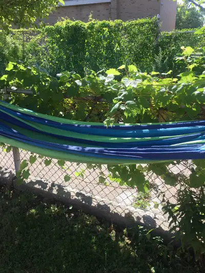 Hammock brand new , View more