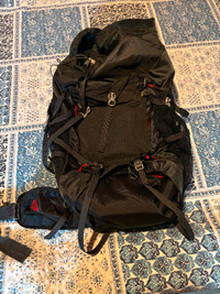 Gregory Stout 45L Hiking Backpack