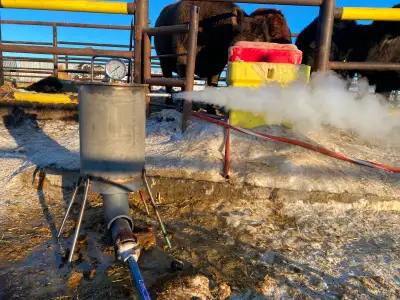 Coldfinger Steamers, View more