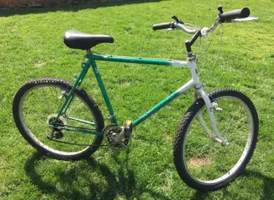 Bianchi kijiji sale