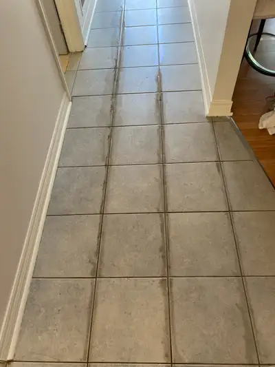 Kitchen Floor Tile and Grout Cleaned $150, View more