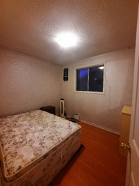 Private ROOM FOR RENT $600