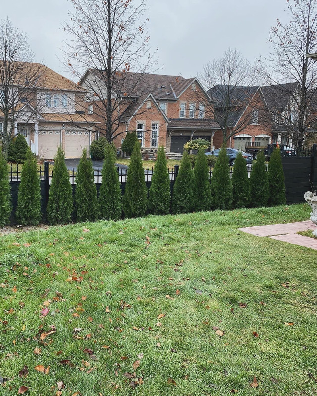 Landscapes services Gardening in Lawn, Tree Maintenance & Eavestrough in Oshawa / Durham Region