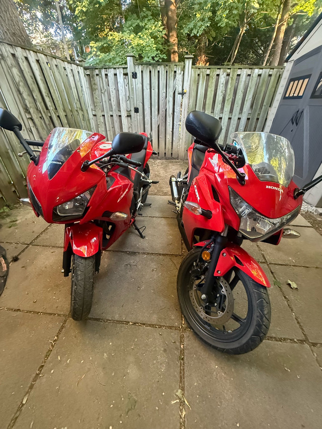 Rent a Motorcycle for Test in Cars & Trucks in Mississauga / Peel Region - Image 4